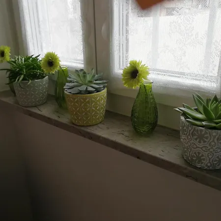 Appartement Apartma Slavica